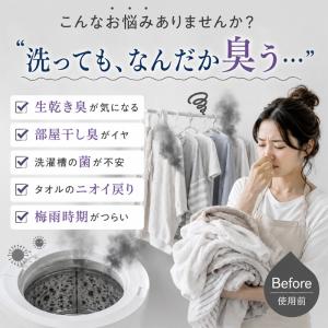 99.9% 除菌 抗菌 洗濯ボール ランドリー...の詳細画像1