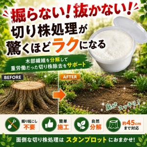 切り株 除去剤 ガーデニング 伐根 補助剤 庭 ...の商品画像