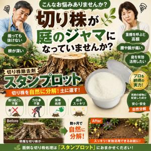 切り株 除去剤 ガーデニング 伐根 補助剤 庭...の詳細画像1
