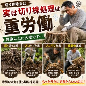 切り株 除去剤 ガーデニング 伐根 補助剤 庭...の詳細画像2