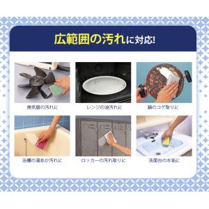 焦げ落とし コゲ取り洗剤 水垢取り洗剤 サビ取...の詳細画像4