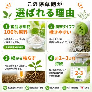 除草剤 強力 業務用 1kg 粉末 顆粒 ネコ...の詳細画像2
