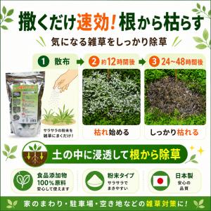 除草剤 強力 業務用 1kg 粉末 顆粒 ネコ...の詳細画像4