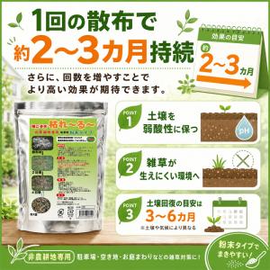除草剤 強力 業務用 1kg 粉末 顆粒 ネコ...の詳細画像5