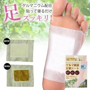 レミントン 遠赤足うらシート一体型 1セット : 暮らし彩り館