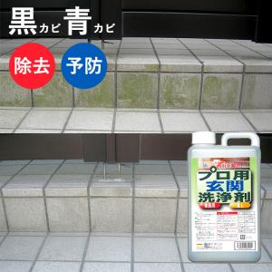 玄関用 墓石 コケ取り カビ取り プロ用玄関洗浄剤 1000ml 防カビ剤 屋外用 日本製｜three-peace