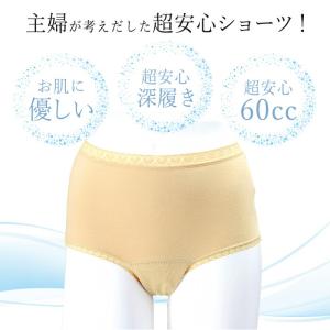 おしゃれ吸水ショーツ 尿漏れパンツ 女性 レデ...の詳細画像3