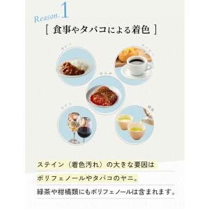 ホワイトニング歯磨き 歯が白くなる 歯磨き粉 ...の詳細画像5