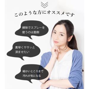使い捨て スポンジ 毎日とりかえ 30枚入 掃...の詳細画像2