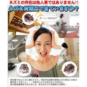 ネズミ駆除 効果抜群 追い出す方法 ネズミ忌避...の詳細画像2