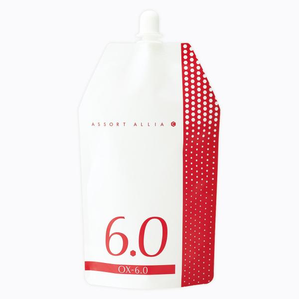 ASSORT ALLIA S アソート アリア C オキシ 6% 1000mL 2剤 DEMI デミ