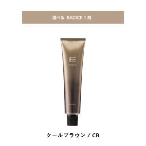 フィヨーレ　ラディーチェ　新品36本 フィヨーレBLカラー ラディーチェ | カラー剤 | FIVE WEB STORE