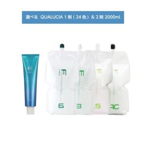 BL Color 【 選べる 1剤 2剤 】 フィヨーレ BLカラー ACID TYPE