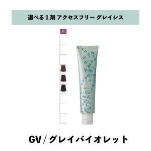 【 選べる 1剤 】グレイシスカラー ( GRAICYS COLOR ) ナプラ アクセスフリーHB グレイシスカラー GV グレイバイオレット 80g ヘアカラー