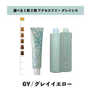 napla ナプラ グレイシスカラー アクセスフリー HB 80g GN2 美容