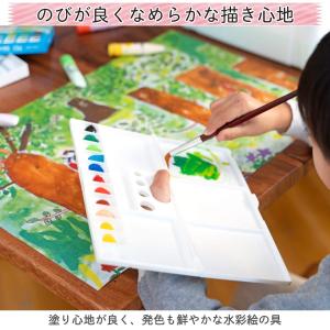 サクラクレパス 絵の具 マット水彩 ポリチュー...の詳細画像2