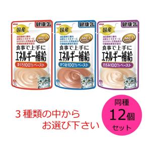 アイシア 国産 健康缶パウチ エネルギー補給 同種12個セット まぐろペースト かつおペースト ささみペースト の中からお選び下さい