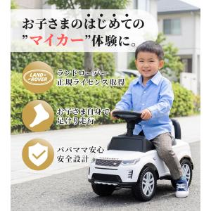 AIJYU TOYS 足けり乗用玩具 ランドロ...の詳細画像2