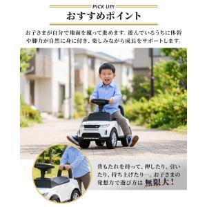 AIJYU TOYS 足けり乗用玩具 ランドロ...の詳細画像4