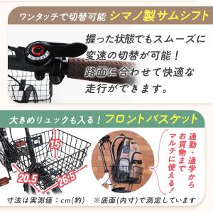 ノーパンク 折りたたみ自転車 20インチ シマ...の詳細画像5