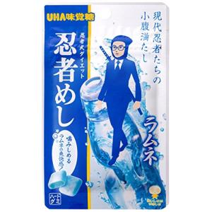 UHA味覚糖 UHA 味覚糖 忍者めし 鉄の鎧 グレープ味 40g ×2袋