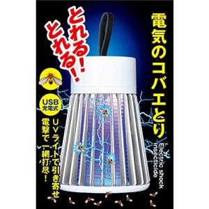 トープランTo-plan 電気のコバエとり