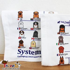 【ThreeBオリジナル】今治系統図バスタオル ...の商品画像
