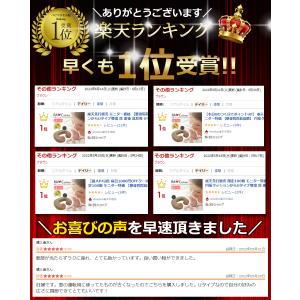 U字クッション 【ベスポジで楽チン】金型から作...の詳細画像1