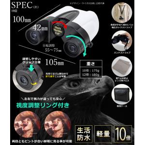 数量限定在庫一掃SALE★ 双眼鏡 10倍 眼...の詳細画像5