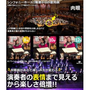 数量限定在庫一掃SALE★ 双眼鏡 12倍 ピ...の詳細画像2