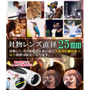数量限定在庫一掃SALE★ 双眼鏡 12倍 ピ...の詳細画像3