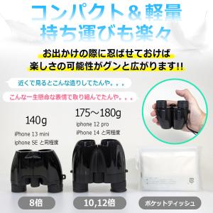 数量限定在庫一掃SALE★ 双眼鏡 12倍 ピ...の詳細画像5