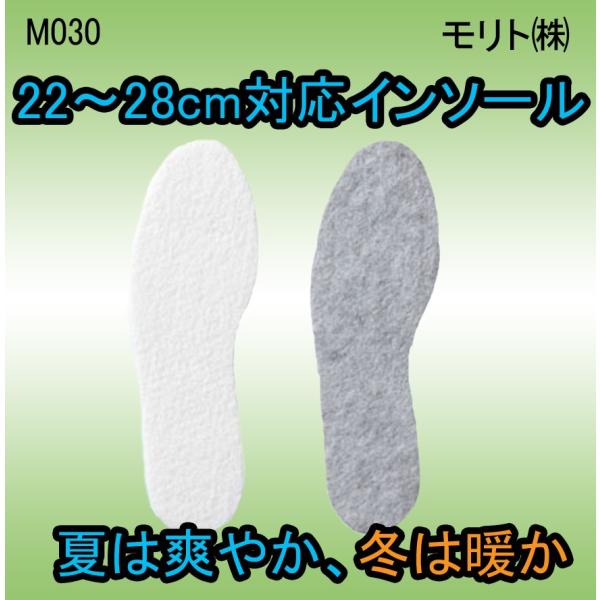 M030　インソール　北海道物語　モリト株式会社