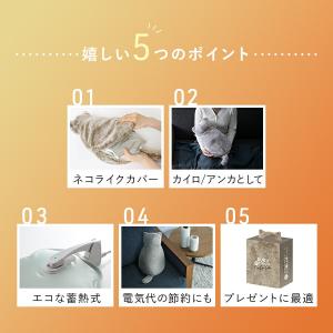 湯たんぽ 電気 充電式 お湯不要 カイロ あん...の詳細画像5
