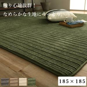 触り心地抜群!! なめらか肌触り 低反発ラグ レ...の商品画像