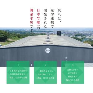 除湿の定番 炭八 押入れ用 3コセット 出雲カ...の詳細画像3