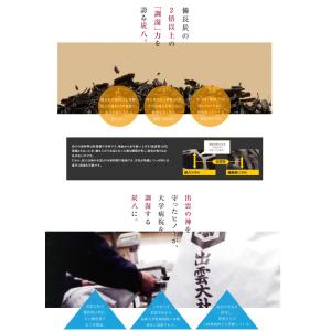 除湿の定番 炭八 押入れ用 3コセット 出雲カ...の詳細画像4