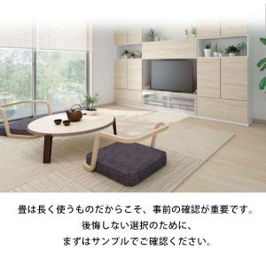 【サンプル送料無料】ダイケン ここち和座 畳サ...の詳細画像1