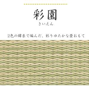 【サンプル送料無料】ダイケン ここち和座 畳サ...の詳細画像2