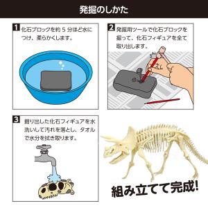 工作キット 化石発掘キット トリケラトプス 5...の詳細画像1