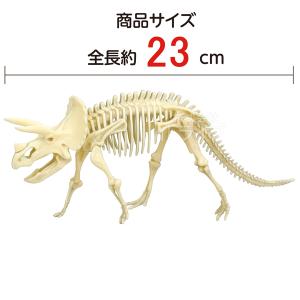 工作キット 化石発掘キット トリケラトプス 5...の詳細画像4