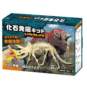 工作キット 化石発掘キット トリケラトプス 5...の詳細画像5