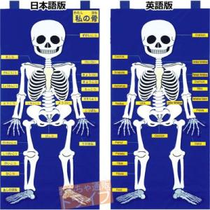 フェルト教材 ほねのしくみ MY SKELETON 50×100cm 145032 日本語版 ラッピ...