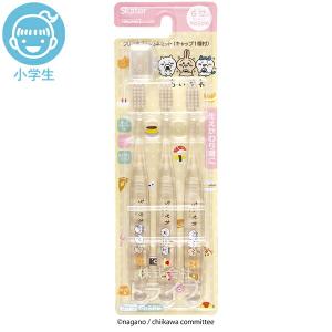 3月中旬入荷予定 ちいかわ おいしい柄 小学生用 クリア 歯ブラシ 3本入 キャップ付 TBCR6T SKT ネコポス対応品 618727