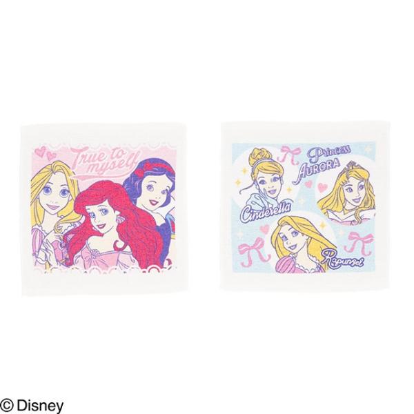 ケース付き ハンドタオル 2絵柄組 ディズニー プリンセス キラキラピンク 899672 置配対応
