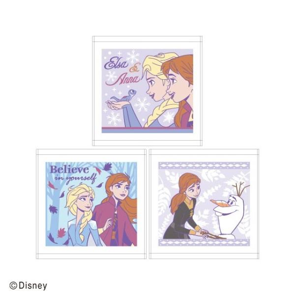 ハンドタオル 3絵柄組 アナと雪の女王 フレンドリーアイス  899870 ネコポス対応品