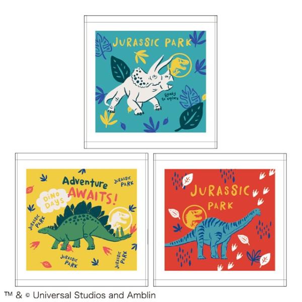 ハンドタオル 3絵柄組 ジュラシックワールド ネイチャーダイナソー 899993 ネコポス対応品