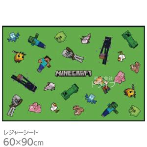 マインクラフト 26 おでかけセット レジャーシート おしぼり 2点