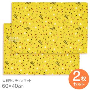 【新品未使用★2012年製】４枚セット　ハローキティ　ランチョンマット　サンリオ ハローキティ 大判 ランチョンマット お買得2枚セット ネコポス対応品