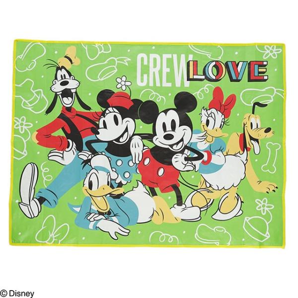 レジャーシート 90×120cm ディズニー ゴーゴーピクニック ネコポス対応品 905571